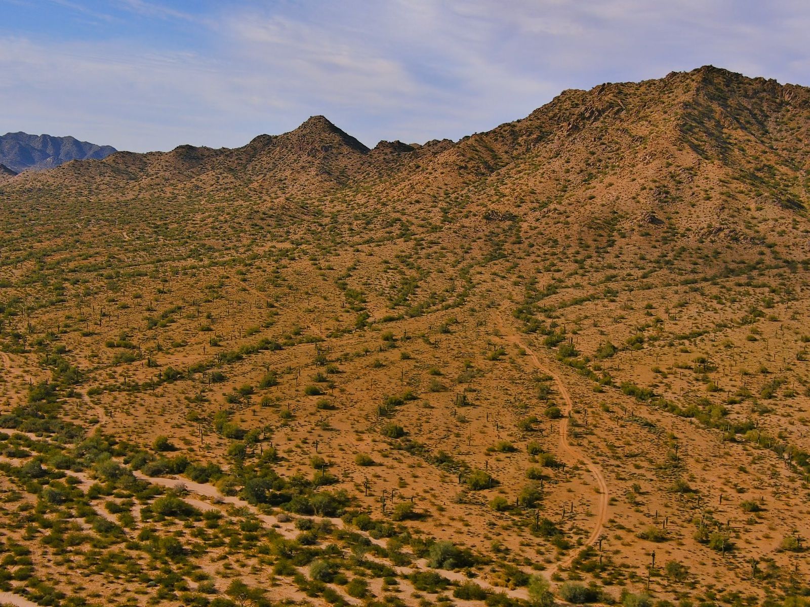 Explore the hiking and biking trails at San Tan Mountain Regional Park.