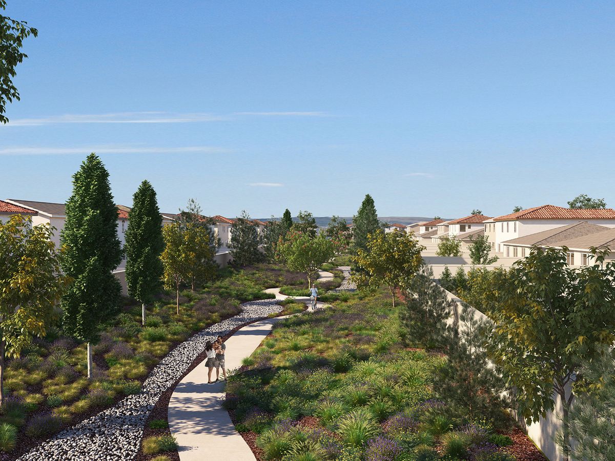 Walk the dog through the many paths of Live Oak.