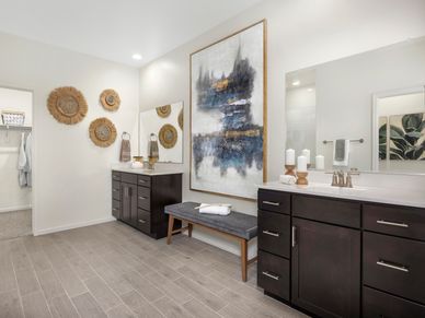 Primary bathroom in the Mesquite floorplan at Arbor at Madera Highlands.