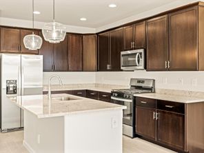 42040 W CELEBRATION LANE (Mercury)