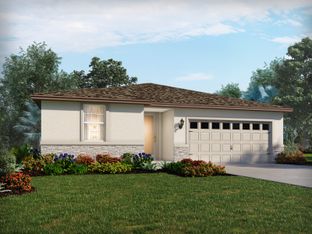 Foxglove - Springs at Lake Alfred - Signature Series: Lake Alfred, Florida - Meritage Homes