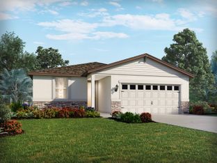 Daphne - Springs at Lake Alfred - Signature Series: Lake Alfred, Florida - Meritage Homes