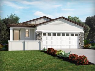 Everglade - Springs at Lake Alfred - Classic Series: Lake Alfred, Florida - Meritage Homes
