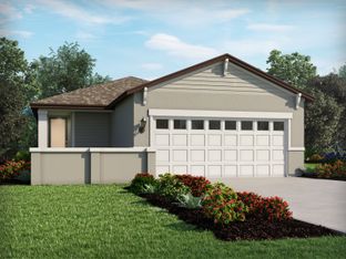 Acadia - Springs at Lake Alfred - Classic Series: Lake Alfred, Florida - Meritage Homes