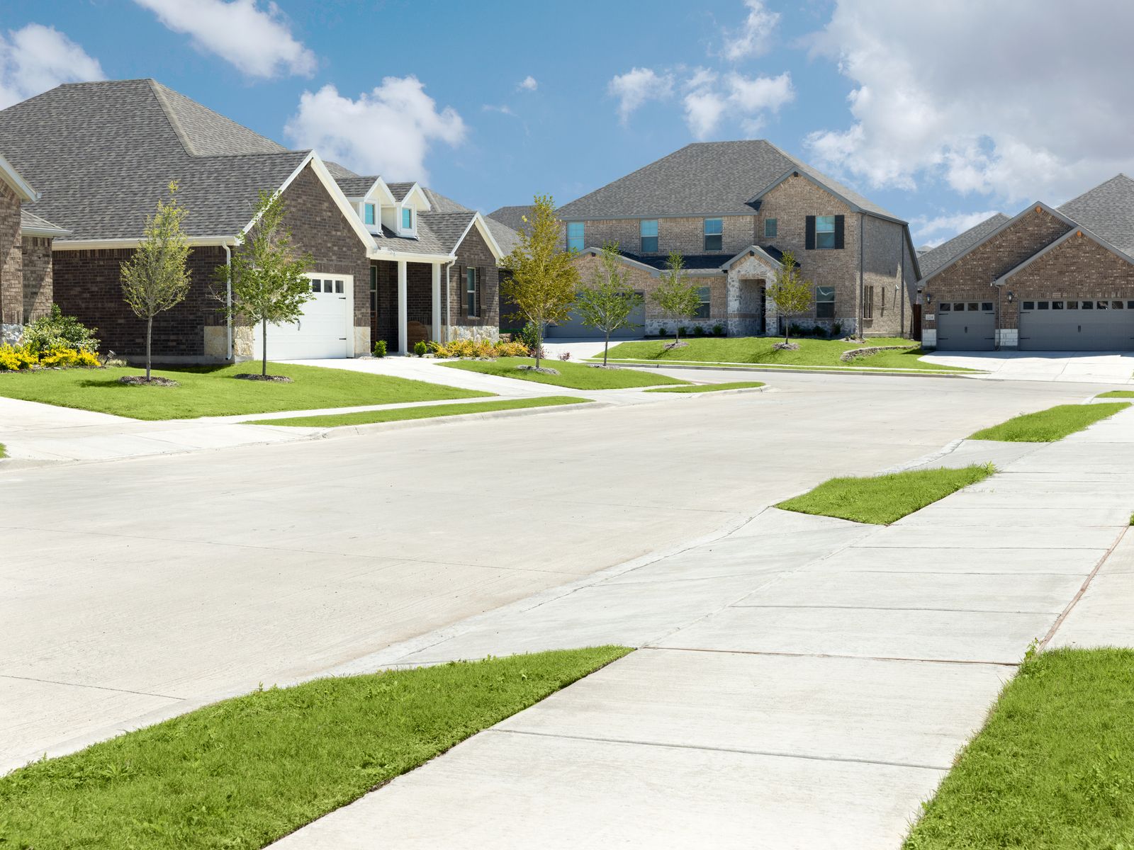 DFW_Wolf Creek Farms_Premier Series_60&apos; product_Exterior_Streetscape_001_print.jpg