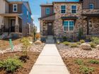 Prospect Village at Sterling Ranch: Paired Homes - Littleton, CO