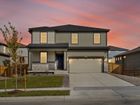 Buffalo Highlands: The Flora Collection - Commerce City, CO