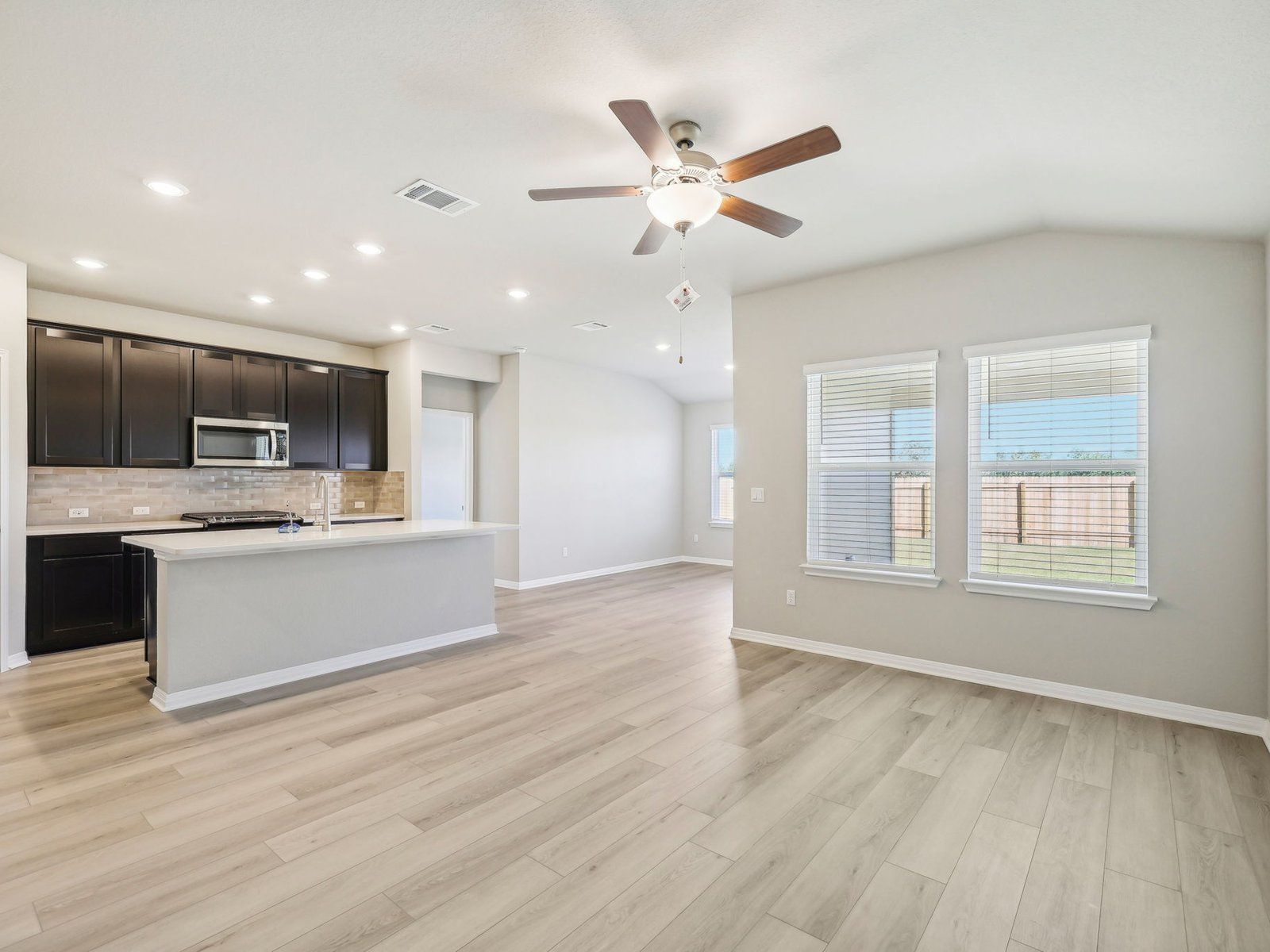 Kitchen, Living, and Dining Areas