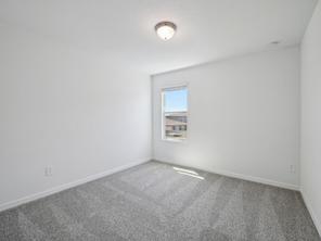 4526 Windy Oak Way (Violet)