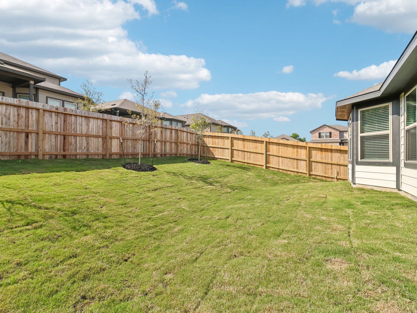 6318 Comanche Coyote (Callaghan (830))