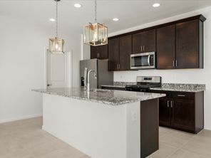 8279 S IOWANA MINE PL (Emerald)