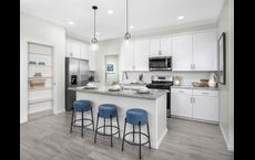 Mandarina - Signature Series: Marana, Arizona - Meritage Homes