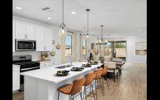Mandarina - Premier Series: Marana, Arizona - Meritage Homes