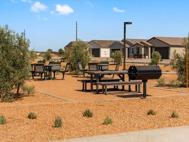 Benches and BBQ at Wildera in San Tan Valley.