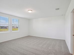 4519 Windy Oak Way (Violet)