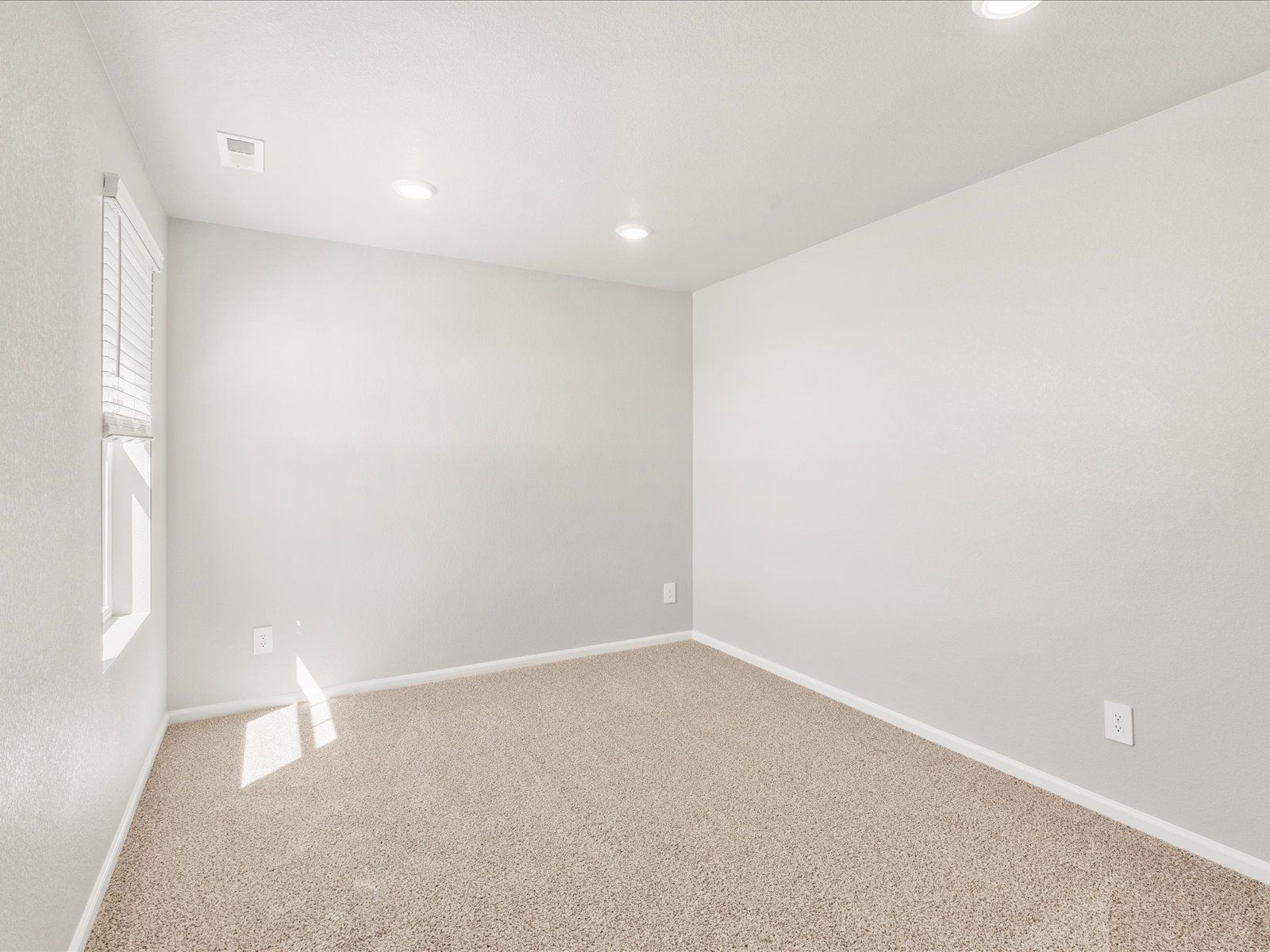 Snowberry - Buffalo Highlands: The Flora Collection: Commerce City, Colorado - Meritage Homes