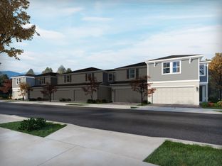 Windsor - Bradford Park: Ormond Beach, Florida - Meritage Homes