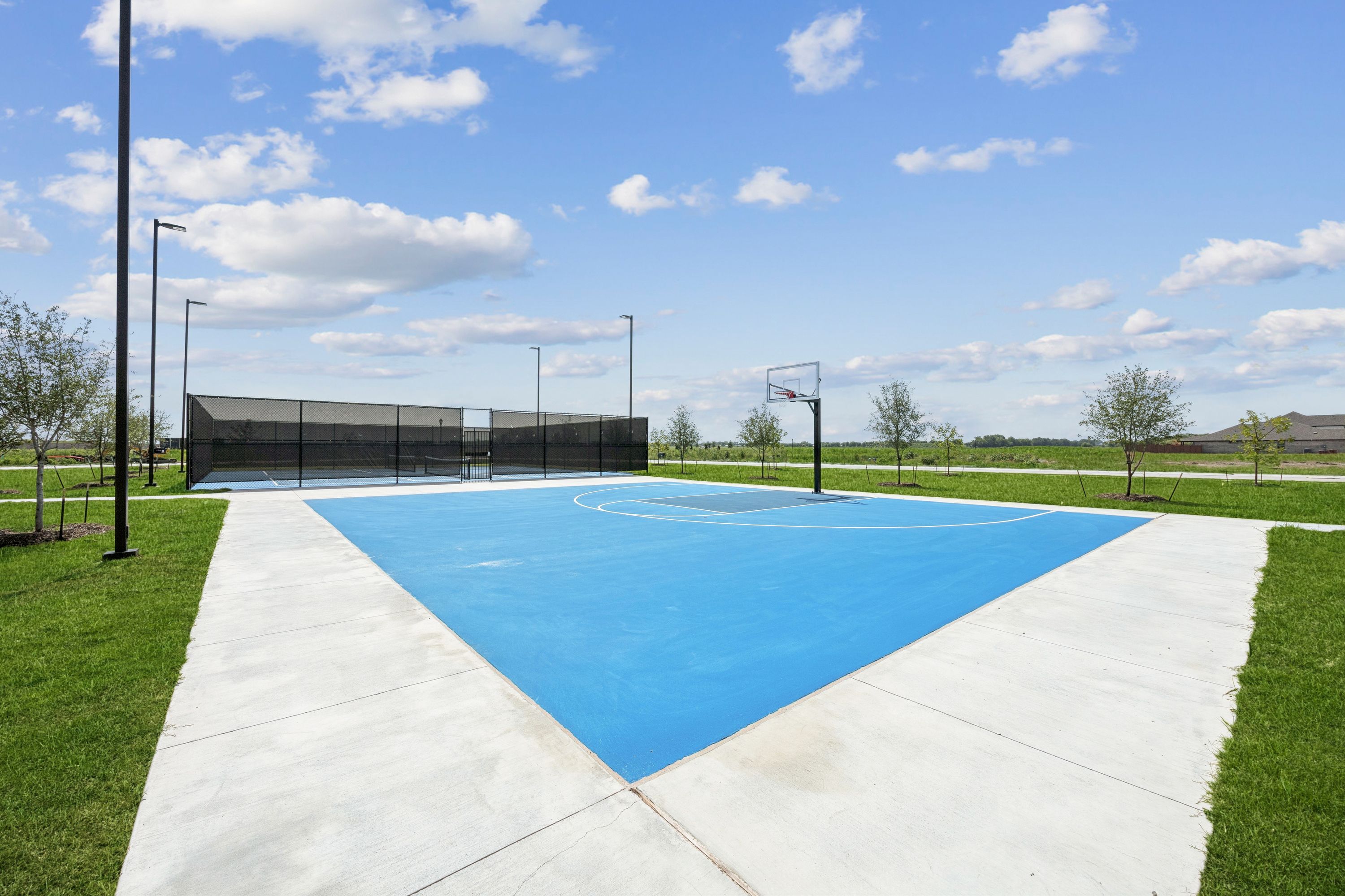 Pick up a game of basketball with friends or neighbors.