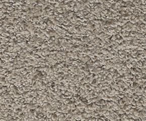 Carpet: Mohawk Raise The Bar Tradewinds