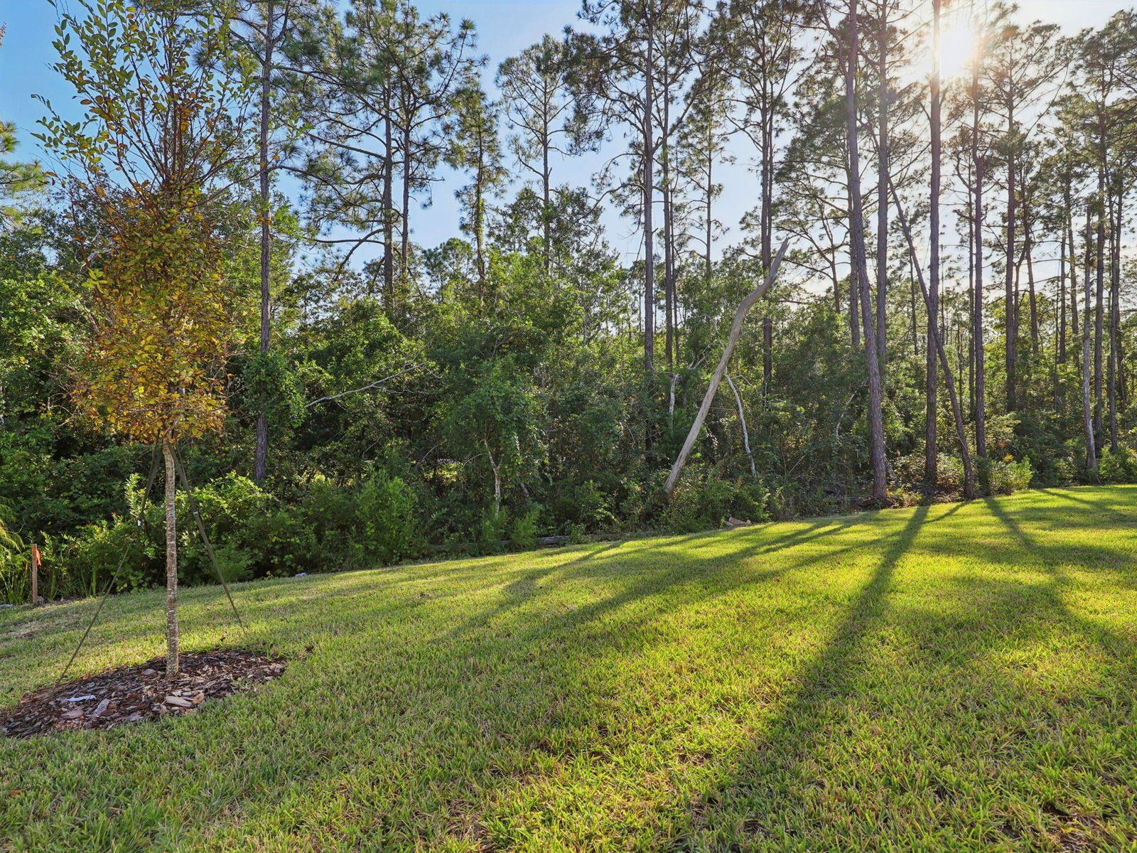 Denali - Flagler Village - Classic Series: Palm Coast, Florida - Meritage Homes