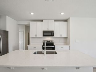 Denali II - The Grove at Stuart Crossing - Premier Series: Bartow, Florida - Meritage Homes