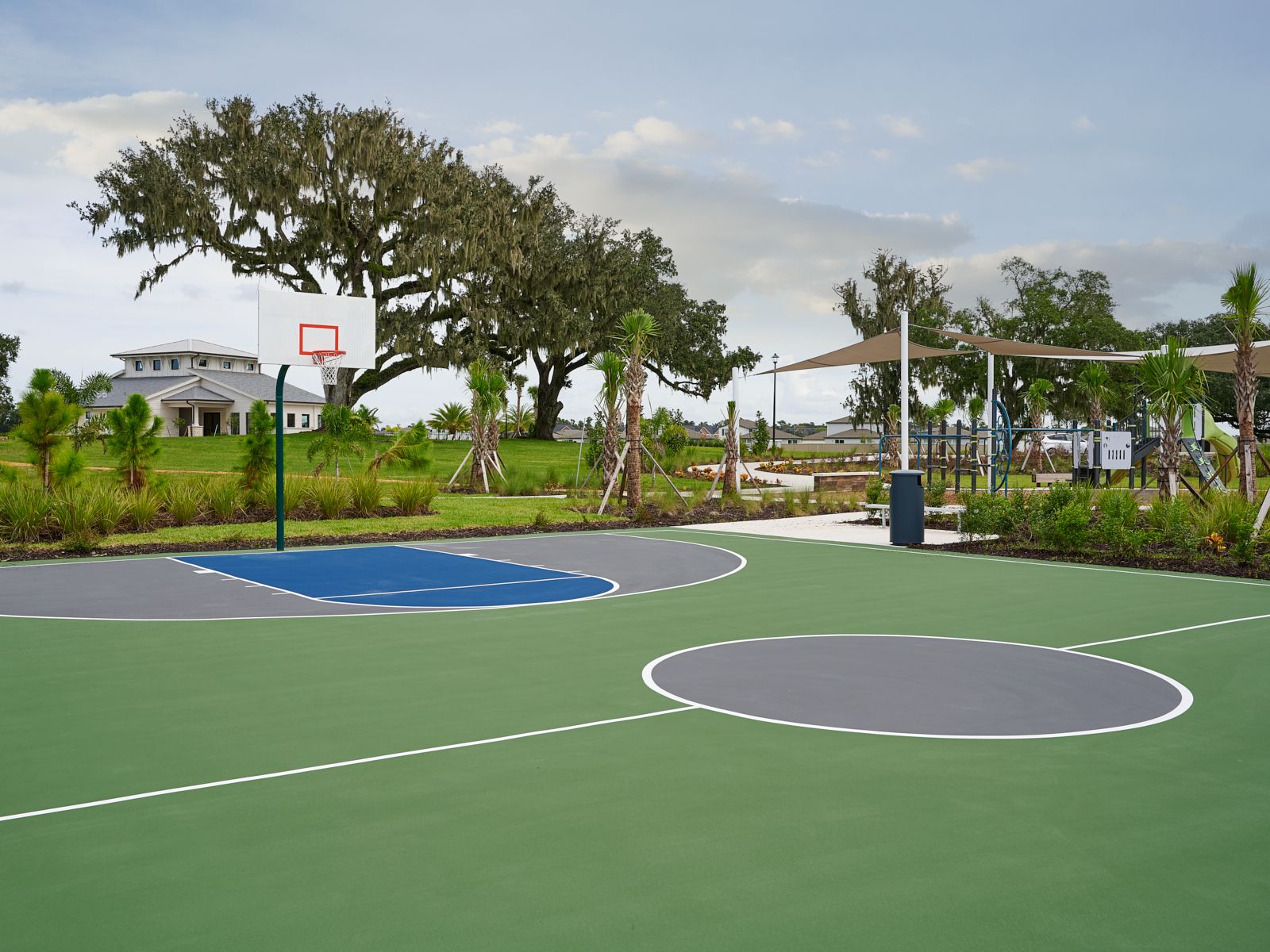 Basketball Amenity