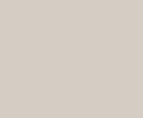 Paint: Agreeable Gray