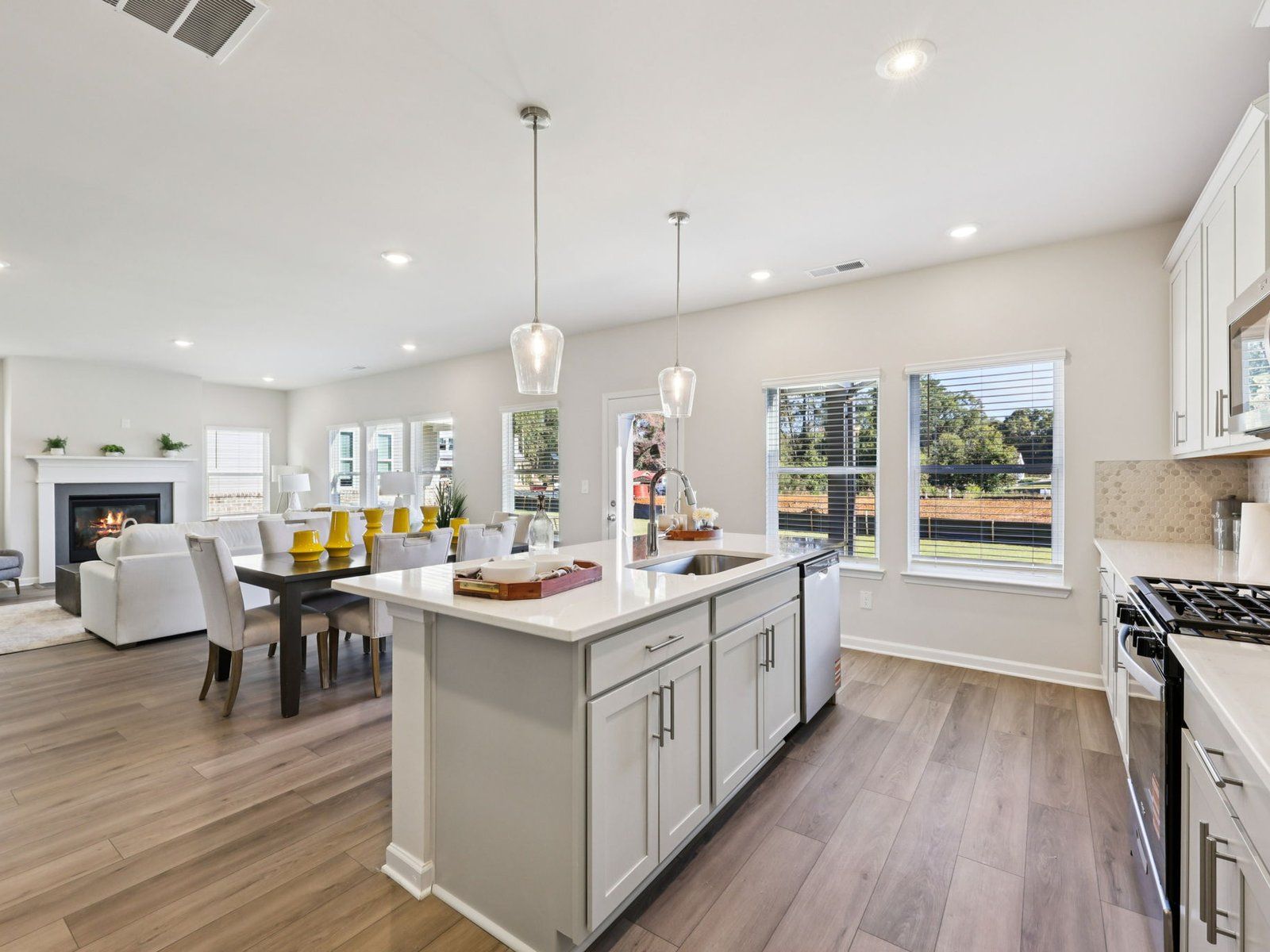 The Dakota floorplan with the Elemental Harbor interior package.