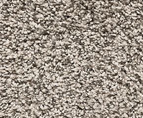 Carpet: Mohawk Agave Road Silver Dollar