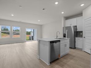 107 PLEASURE LN (Amber)