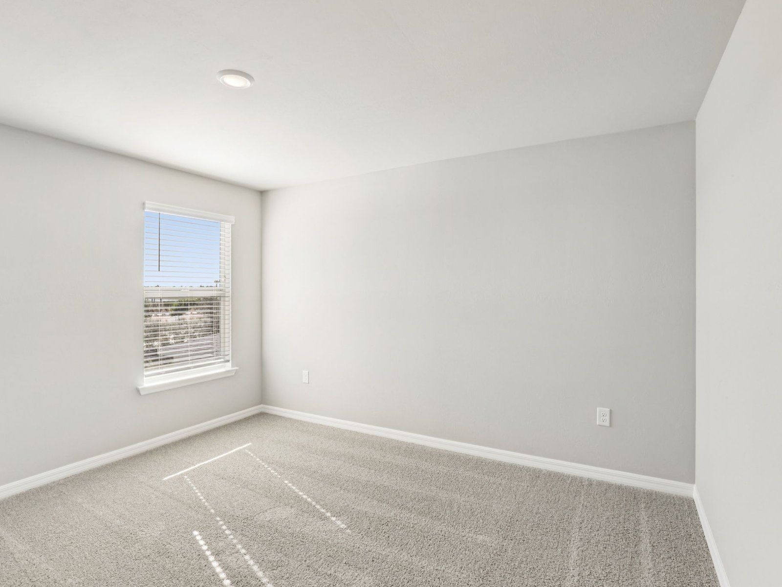 44445 Diamond Trail (Ibis)