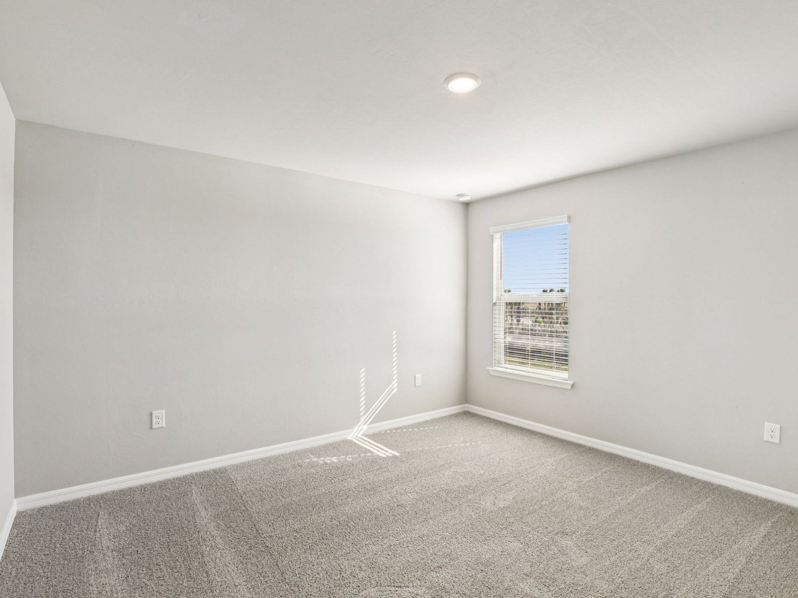 44445 Diamond Trail (Ibis)