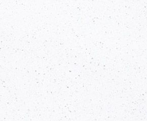 587 Salisbury Cir (Sandpiper)