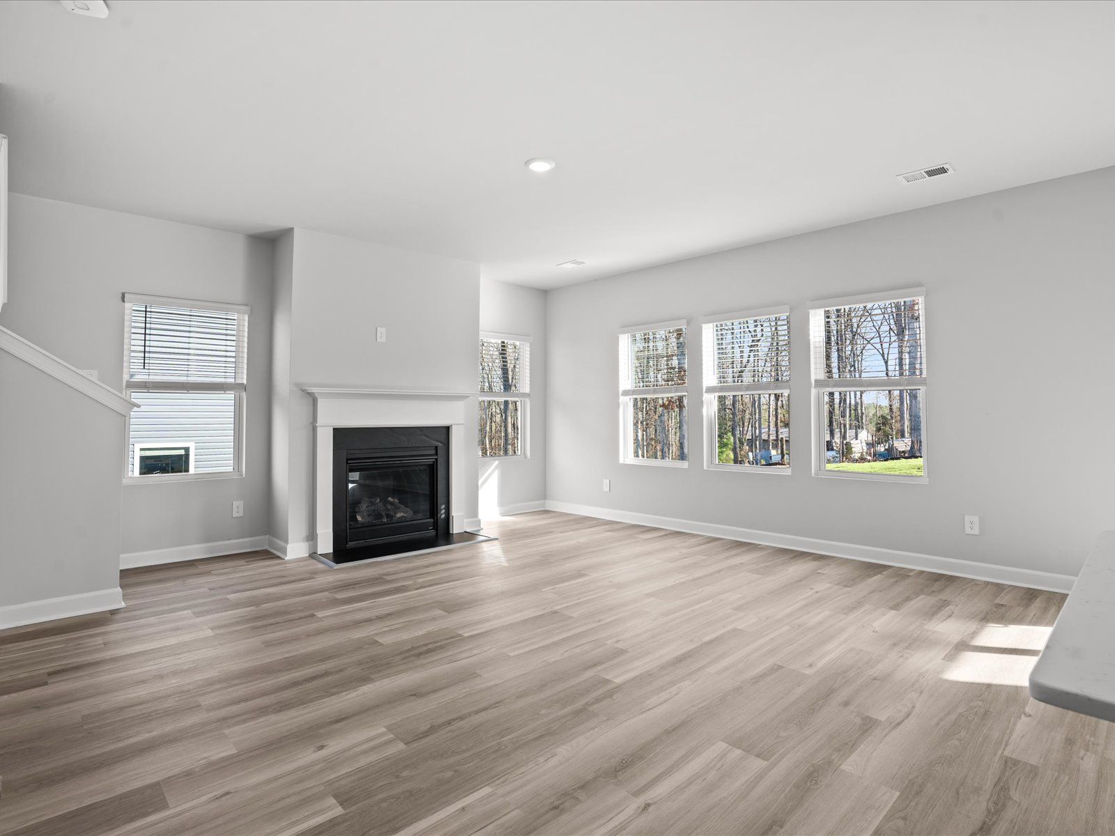 572 Cozy Bluff Road (Brentwood)