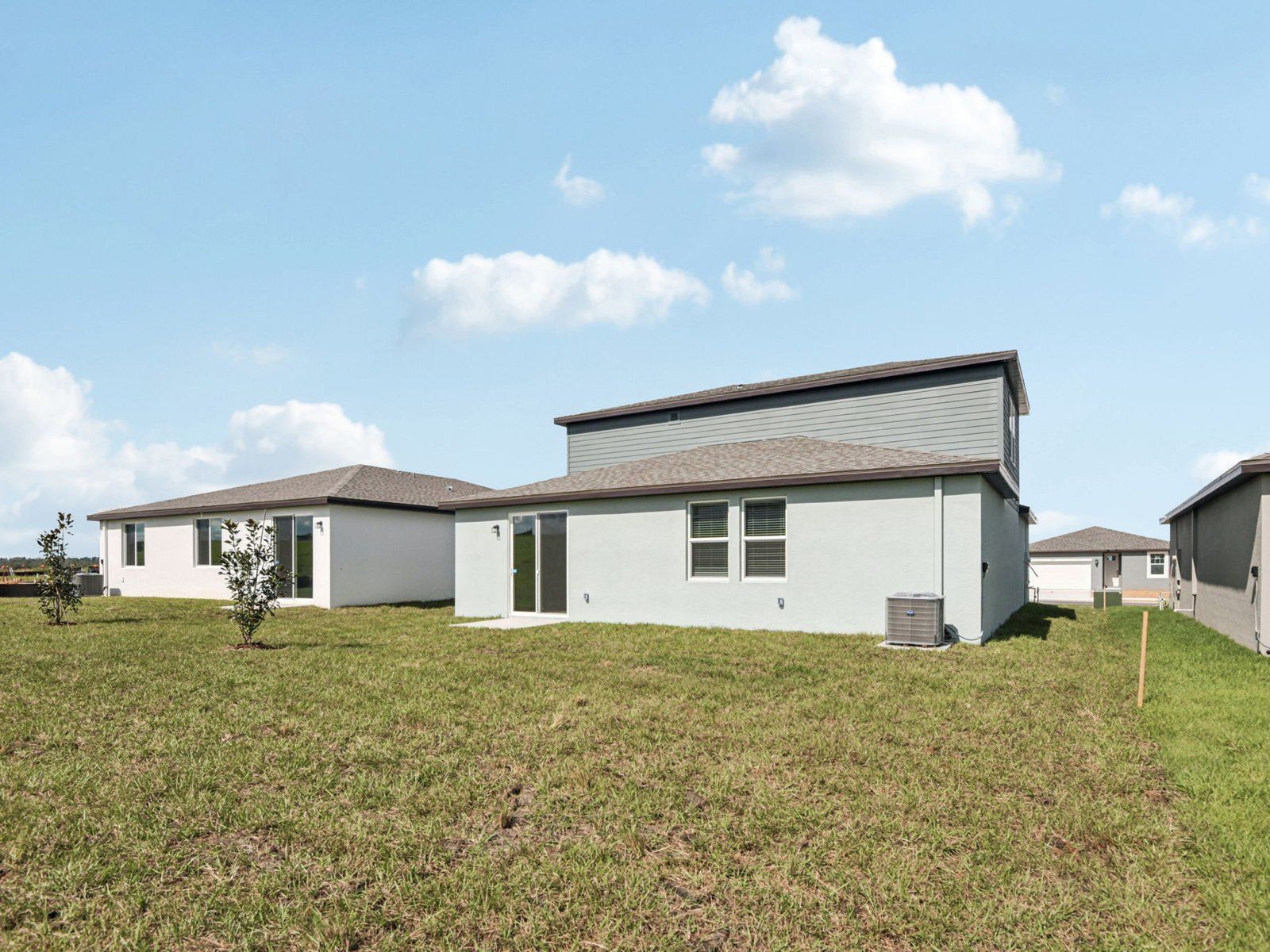 31556 MALBEC DR (Orchid)