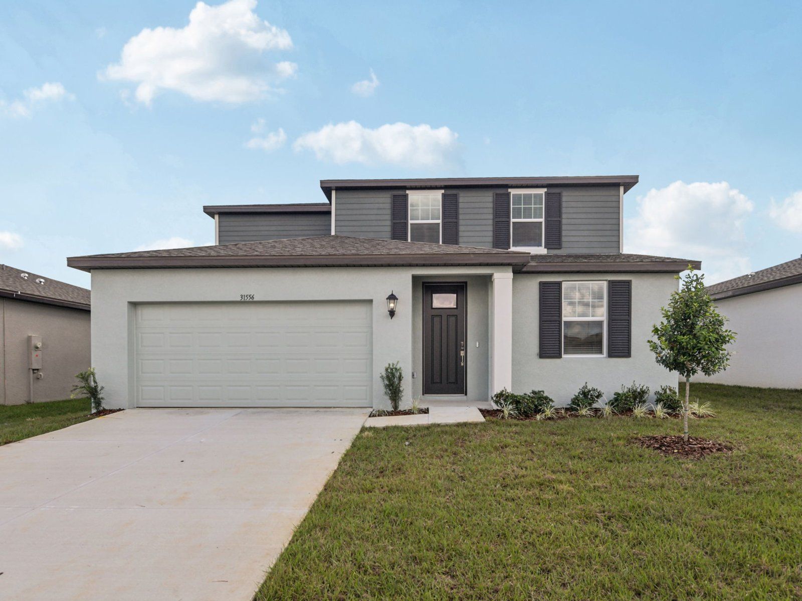 31556 MALBEC DR (Orchid)