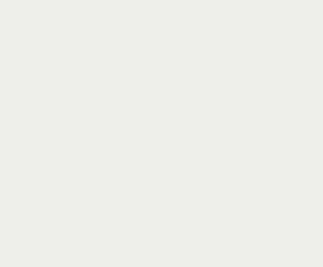 Paint: Extra White