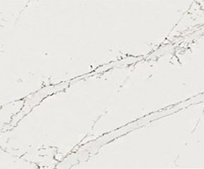 Countertop: Calacatta Cathedral Quartz