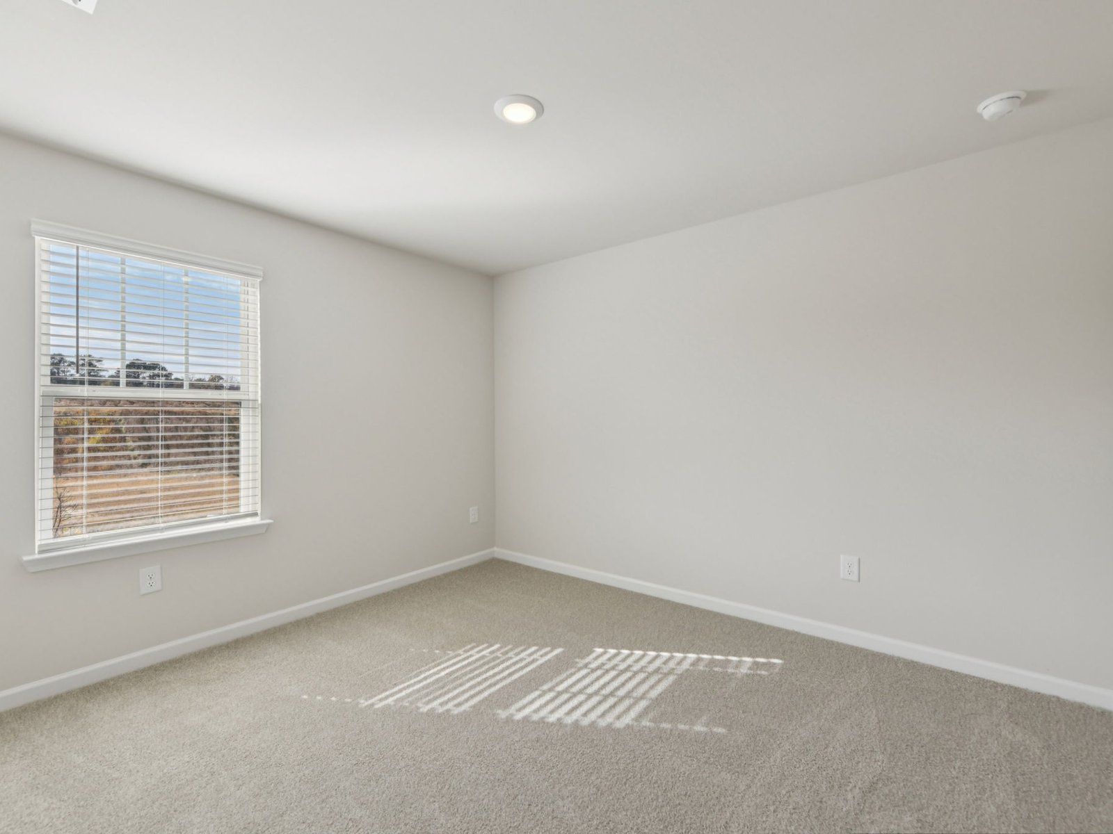 The Dakota Basement floorplan with the Radiant Frost interior package.