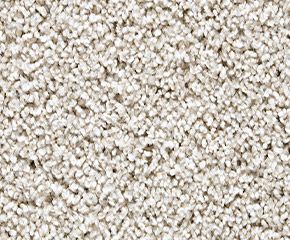 Carpet: Mainstay West Liberty