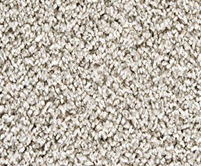Carpet: Mainstay West Branch