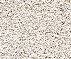 Carpet: Mainstay Durant