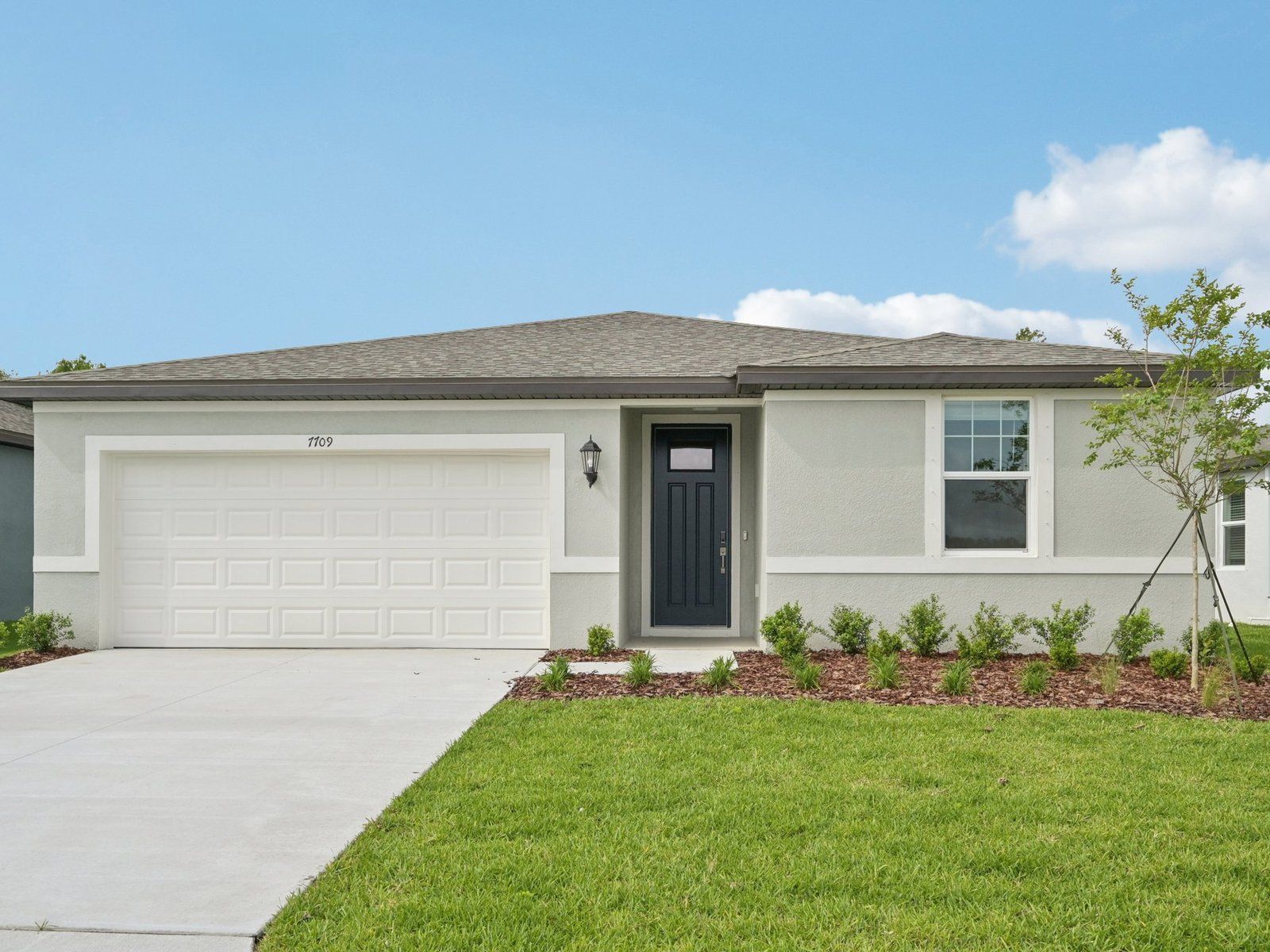 7709 Satterfield Ter (Hibiscus)