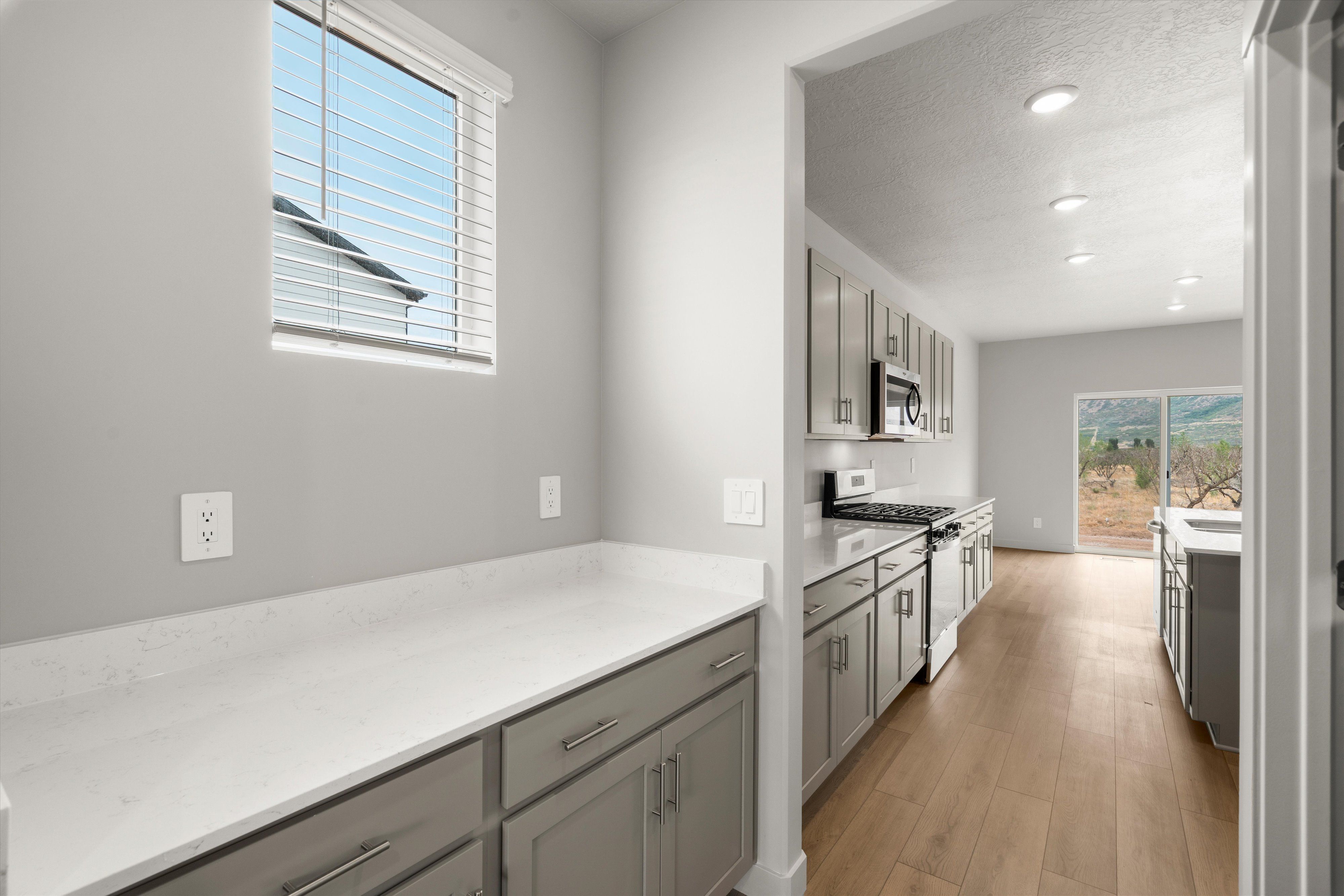 Kitchen and Pantry