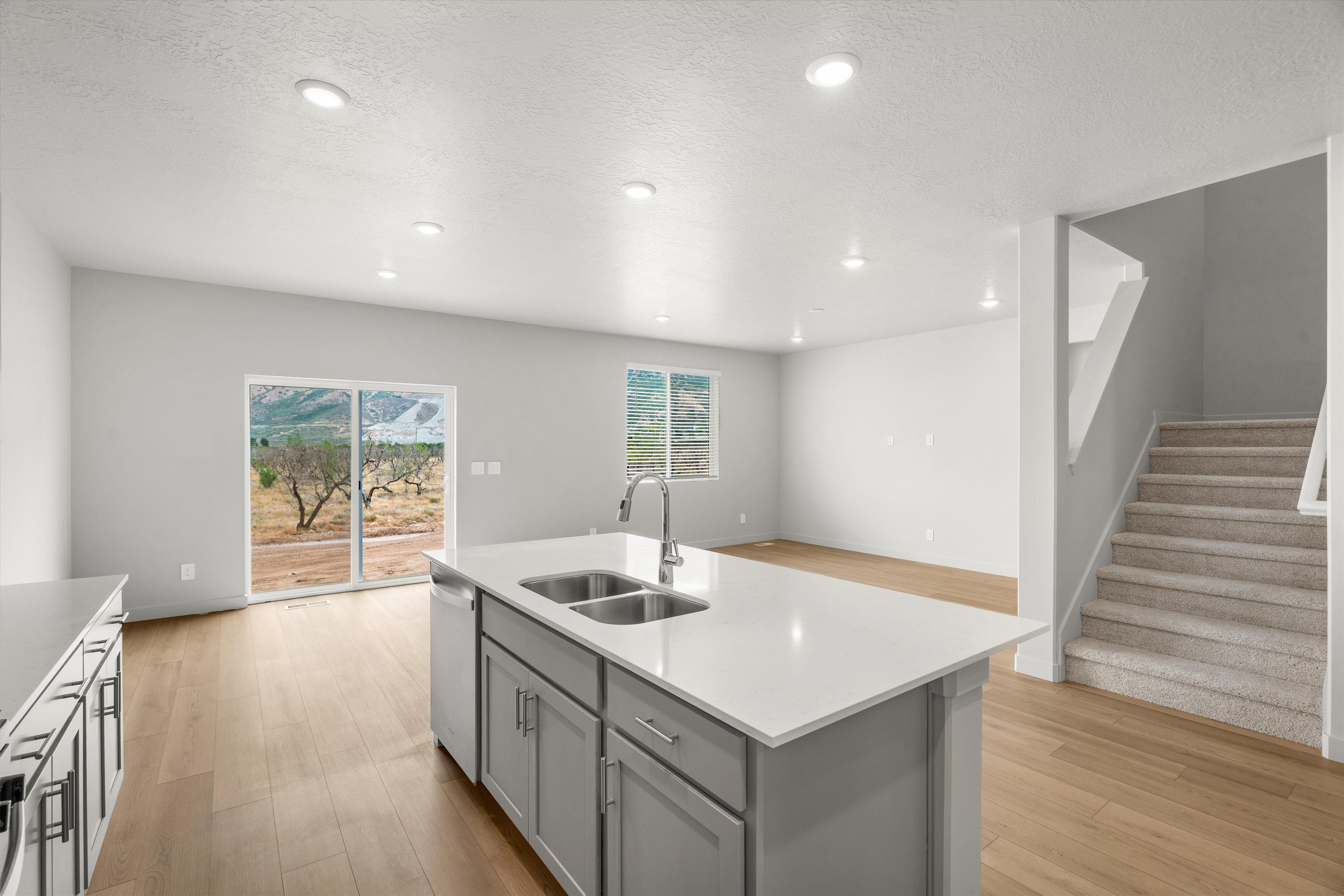 Kitchen and Living Area