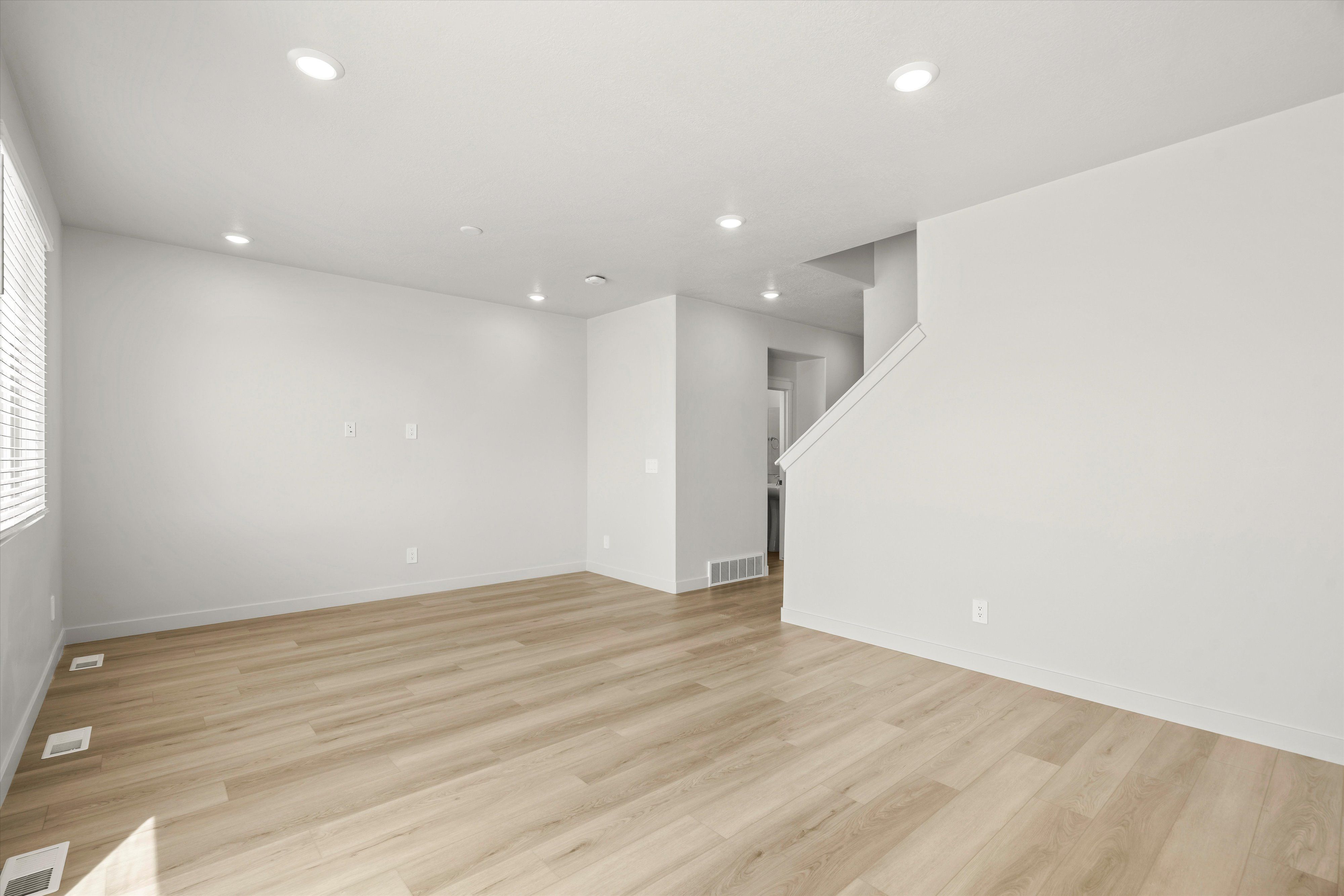 Kitchen and Living Space