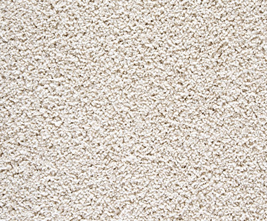 Carpet: Mohawk Mainstay Durant