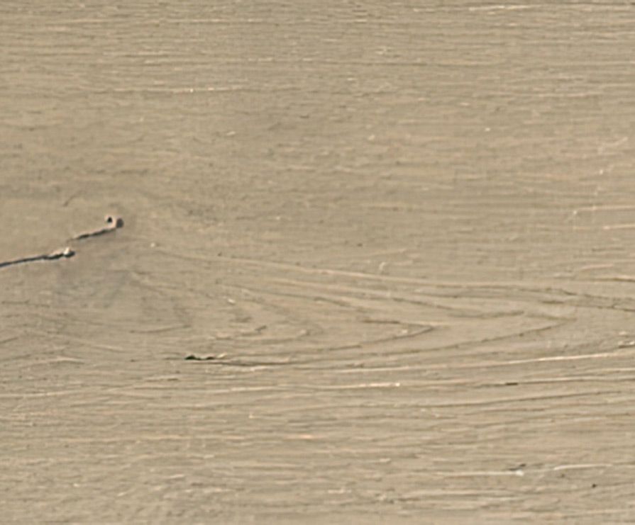 Flooring: Mohawk Native Range Sandstone Oak