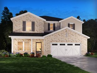 Dakota Basement - The Oaks at Dawson: Dawsonville, Georgia - Meritage Homes