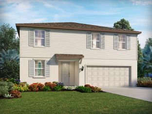 Marigold - Hilltop Vistas: Dade City, Florida - Meritage Homes